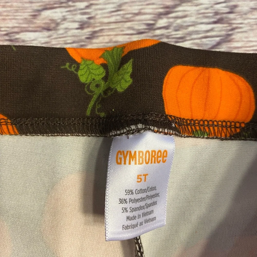 📌🆕 Gymboree • Pumpkin Ponte • Jeggings